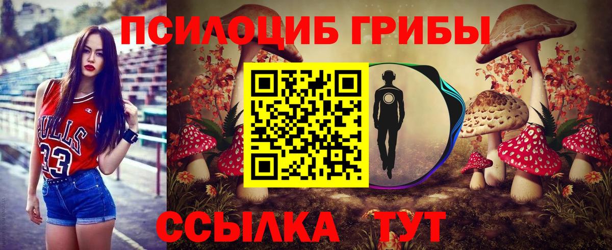 Псилоцибиновые грибы мухоморы Сибай