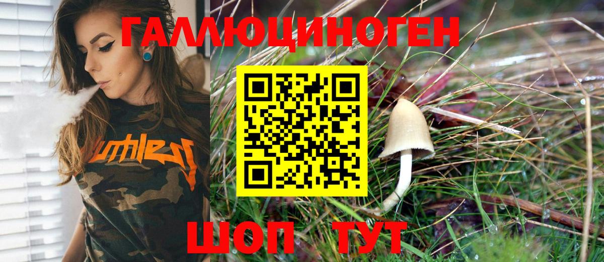 Сибай  продажа наркотиков  Вход с VPN  Псилоцибиновые грибы Psilocybe  Псилоцибиновые грибы Cubensis 